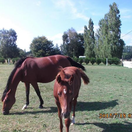 La Vieux Ville Tregomeur Екстер'єр фото